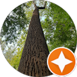 Profile photo of Robert Van Beek