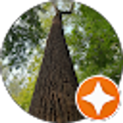 Profile photo of Robert Van Beek