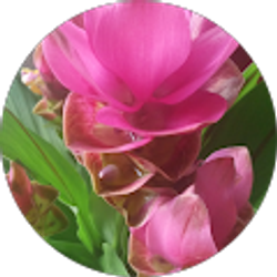 Profile photo of shady b