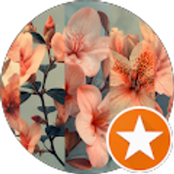 Profile photo of Roseita Harris