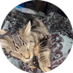 Profile photo of Tatianna