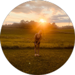 Profile photo of Bethany Newsome