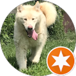 Profile photo of Sarah Kelly