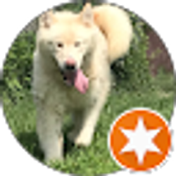 Profile photo of Sarah Kelly