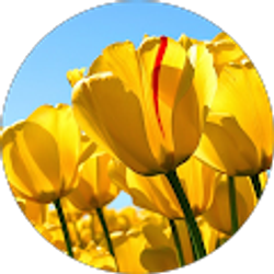 Profile photo of Kali Myers