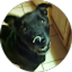 Profile photo of Jenny Johnson