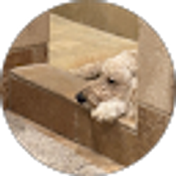 Profile photo of Jeanne Chutuape