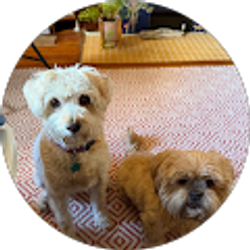 Profile photo of Anita