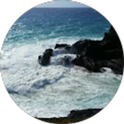 Profile photo of Jstevenor