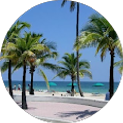 Profile photo of vadim milash