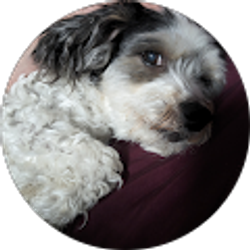 Profile photo of Vanessa Jimenez