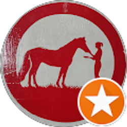 Profile photo of Michaela Goodin