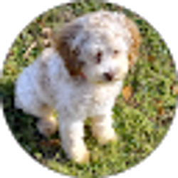 Profile photo of Kathy Bowen