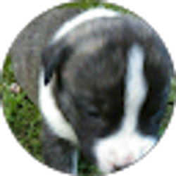 Profile photo of Loren smith