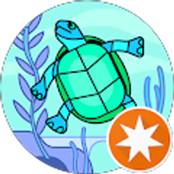 Profile photo of Amy Wells