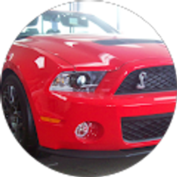 Profile photo of Mark Cox