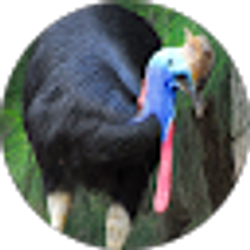 Profile photo of Jordan Back