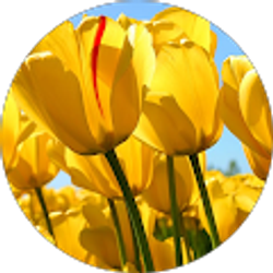 Profile photo of Vickie Zenteno