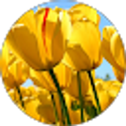 Profile photo of Vickie Zenteno