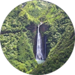 Profile photo of Bobbie Dawson