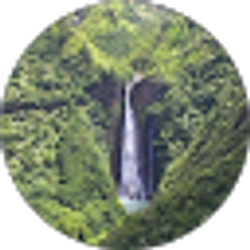 Profile photo of Bobbie Dawson