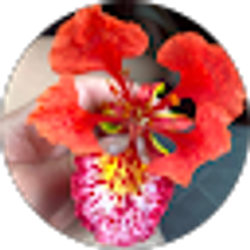 Profile photo of ginyreyes