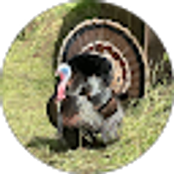 Profile photo of Brad Althouse