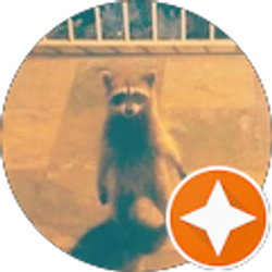 Profile photo of S Westwood