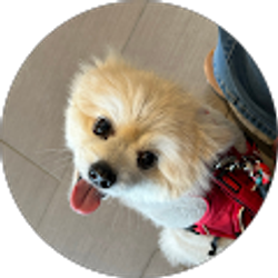 Profile photo of Louise Diefenback