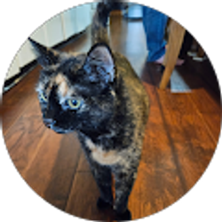 Profile photo of Emma Meeks