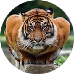 Profile photo of John Bersot