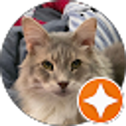 Profile photo of Jonathan Fischer