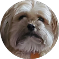 Profile photo of Carrie Calderon