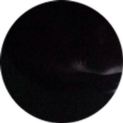 Profile photo of Kenneth R