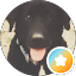 Profile photo of Dan Ayres