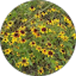 Profile photo of Ali Steadman