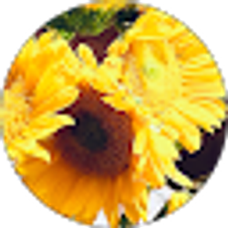 Profile photo of Lori Raugust