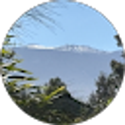 Profile photo of Michael Keenan