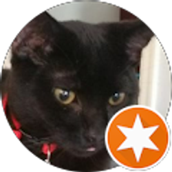 Profile photo of An Str