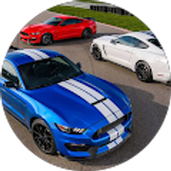 Profile photo of Devon Johnson