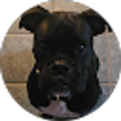 Profile photo of L