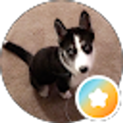 Profile photo of Herald F