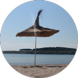 Profile photo of George Stanev