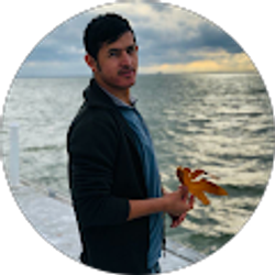 Profile photo of Bashir Rezwan