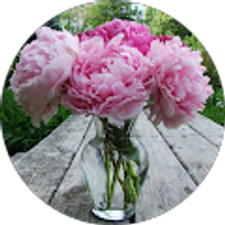 Profile photo of Jenn