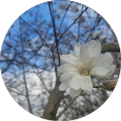 Profile photo of Kim Clary