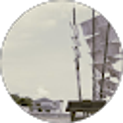 Profile photo of Lily Goushang