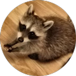 Profile photo of A P