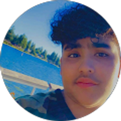 Profile photo of Yasir Sediqi