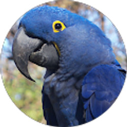 Profile photo of Jenifer Marquardt
